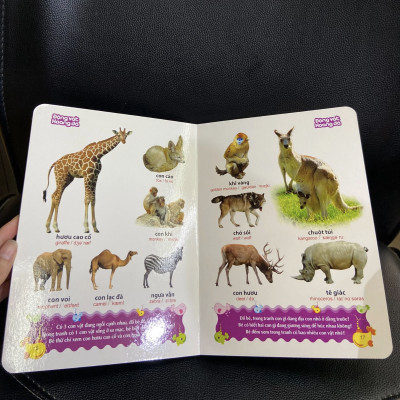 Combo Từ Điển Tranh Về Rau - Củ - Quả - Hoa + Từ Điển Tranh Về Các Con Vật (Bìa Cứng)