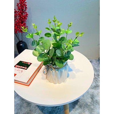 Chậu cây giả để bàn làm việc, bình hoa để bàn trang trí - Cây giả, hoa lụa trang trí nhà cửa