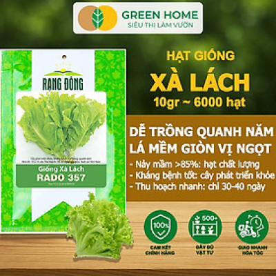Hạt Giống Rau Xà Lách Vàng Greenhome, Gói 10g~6000 hạt, Dễ Trồng Quanh Năm, Nảy Mầm Cao, Thu Hoạch Nhanh, Năng Suất Cao R13