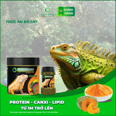 Thức ăn bò sát Iguana Trưởng Thành GREENABC vị bí đỏ dùng cho Rồng Nam Mỹ từ 1m trở lên giúp gai bung, gù cao, dáng đẹp, lên màu tươi –  Hộp 230g
