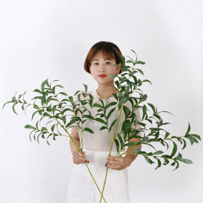 Cành Oliu giả - dài 95cm - 10 nhánh - 8 quả - Cây giả, hoa lụa trang trí nhà cửa