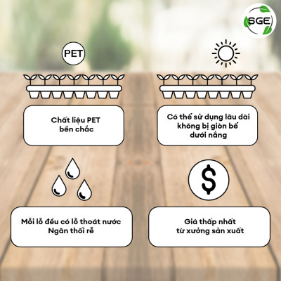 Khay Gieo Hạt/ Khay Ươm Cây Giống GT. Cho Năng Suất Cao, Cây Nhanh Lớn, Cây Con Khỏe, Dễ Sinh Trưởng. Thương Hiệu SGE