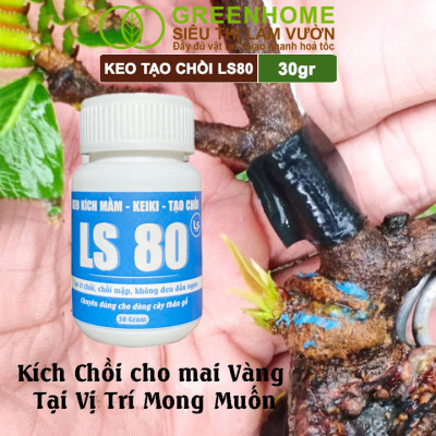 Keo Tạo Chồi LS80, Greenhome, Hũ 30gr, Tạo Mầm Tại Vị Trí Bất Kỳ, Có Chọn Lọc, Không Suy Cây, Đen Chồi