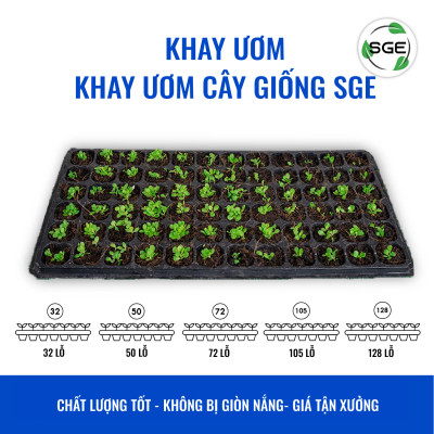Khay Gieo Hạt/ Khay Ươm Cây Giống GT. Cho Năng Suất Cao, Cây Nhanh Lớn, Cây Con Khỏe, Dễ Sinh Trưởng. Thương Hiệu SGE