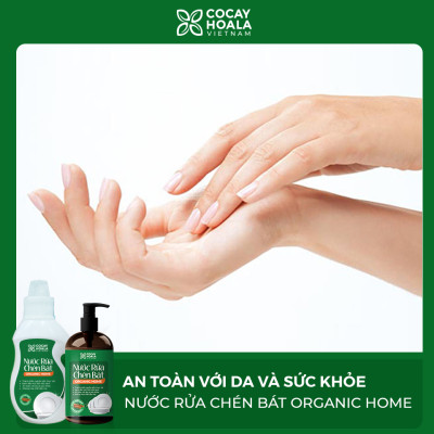 Nước rửa chén bát 97% gốc thiên nhiên Cocayhoala Hương Quế 500 ml- Chiết xuất Bồ Hòn, Quế, Muối Trắng, Chanh...