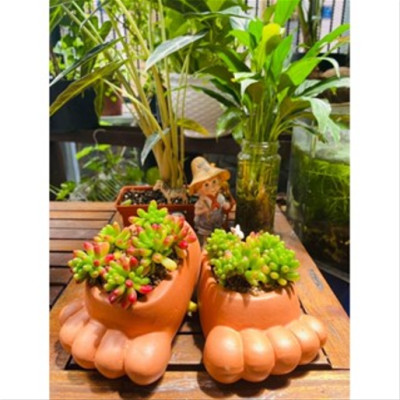 Chậu Đôi Bàn Chân - Chậu Đất Nung Trồng Sen Đá