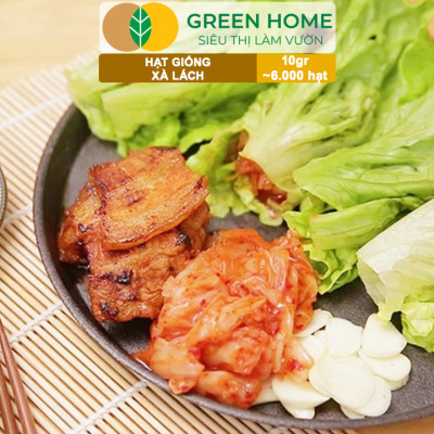 Hạt Giống Rau Xà Lách Vàng Greenhome, Gói 10g~6000 hạt, Dễ Trồng Quanh Năm, Nảy Mầm Cao, Thu Hoạch Nhanh, Năng Suất Cao R13