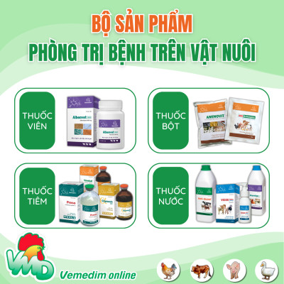 AMOXI 20% LA Thuốc tiêm đặc trị viêm phổi, viêm vú, viêm tử cung, tiết niệu, tác động kéo dài 48h dùng cho chó, mèo, Chai 100ml, sản phẩm Vemedim