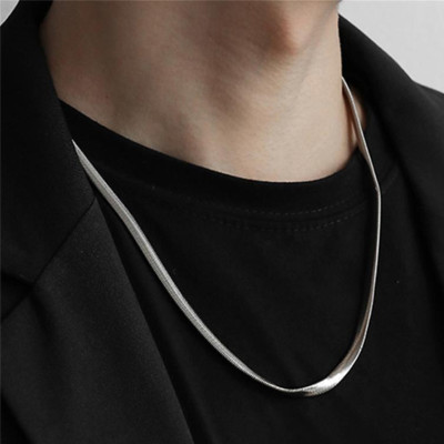 Dây Chuyền Xương Rắn Thép Titan, Thời Trang Và Tối Giản, Dành Cho Nam Giới, Phụ Kiện Hip-Hop