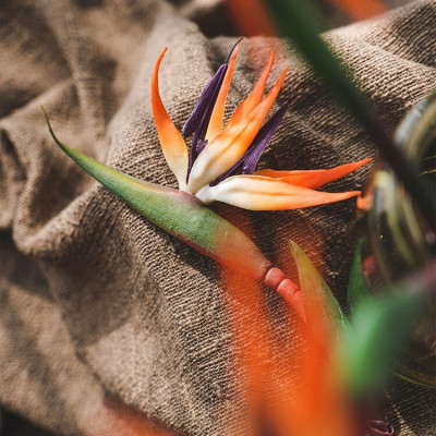 Hoa thiên điểu giả như thật cắm bình 80cm ship HOẢ TỐC HCM chuối mỏ két cao su vàng cam trang trí nhà