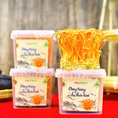 Đông trùng hạ thảo tươi Vacofarm (Hộp 180gr)