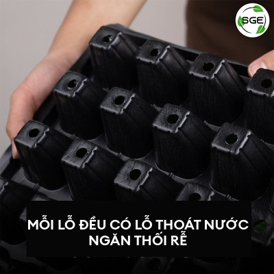 Khay Gieo Hạt/ Khay Ươm Cây Giống GT. Cho Năng Suất Cao, Cây Nhanh Lớn, Cây Con Khỏe, Dễ Sinh Trưởng. Thương Hiệu SGE