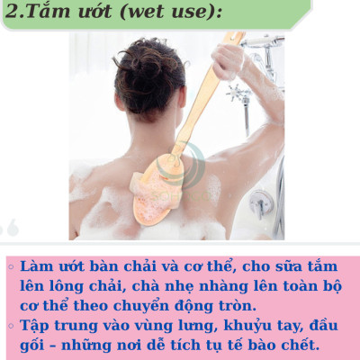 Bàn chải tắm cán dài bằng gỗ tự nhiên - Bàn chải massage cơ thể cao cấp - Cọ tắm khô & ướt cán dài tiện lợi - Bàn chải chà lưng chống tế bào chết - Bàn chải tắm toàn thân spa tại nhà