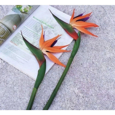 Hoa thiên điểu giả như thật cắm bình 80cm ship HOẢ TỐC HCM chuối mỏ két cao su vàng cam trang trí nhà