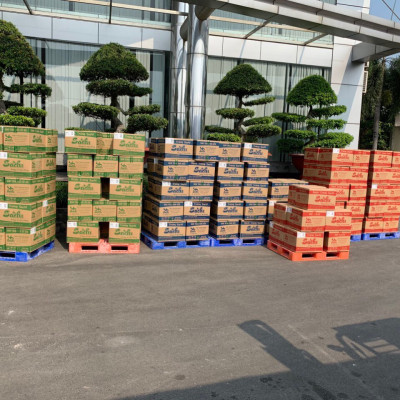 Thùng 50 Gói Loại 75Gram, Bánh Tráng Gạo Mè Nướng Sẵn Sachi