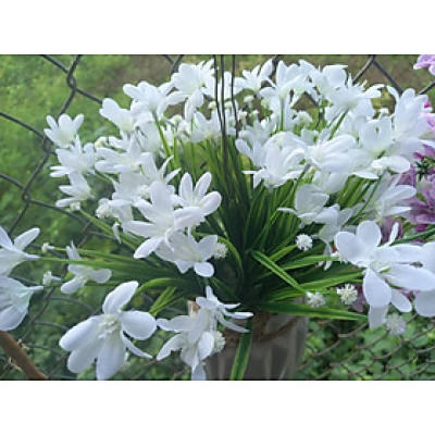 Chậu hoa thuỷ tiên giả cắm sẵn, chất lụa đẹp - Cây giả, hoa lụa Decor trang trí nhà cửa