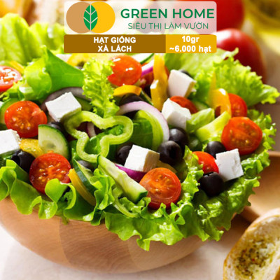 Hạt Giống Rau Xà Lách Vàng Greenhome, Gói 10g~6000 hạt, Dễ Trồng Quanh Năm, Nảy Mầm Cao, Thu Hoạch Nhanh, Năng Suất Cao R13
