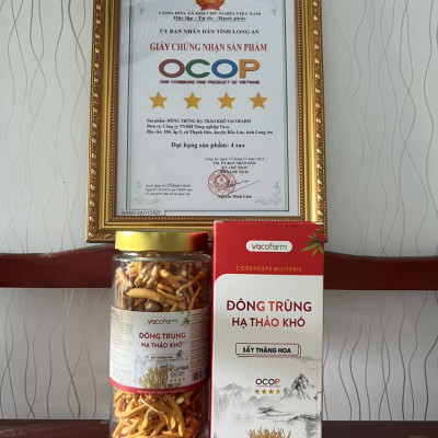 Đông trùng hạ thảo sấy thăng hoa thượng hạng hộp khối lượng 50g thủy tinh bảo vệ sức khỏe, mua 1 tặng hộp 10g, mua 2 tặng 1.