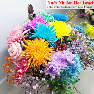 Nước Màu Nhuộm Hoa Tươi Màu Cam Israel (Chai 1 Lít) Color Sodium For Fresh Flowers