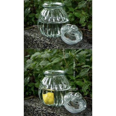 lọ thủy tinh hình quả bí nắp thủy tinh có doăng kín cao cấp
