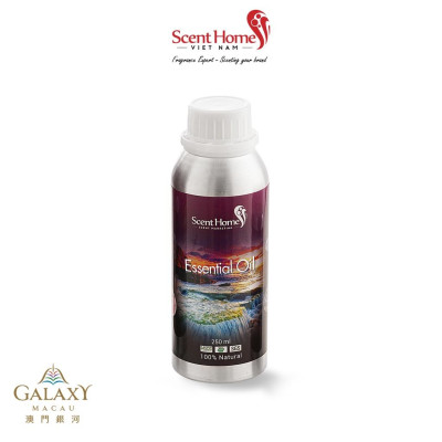 Tinh dầu Scent Homes - mùi hương (Galaxy Macau)