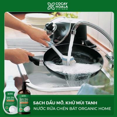Nước rửa chén bát 97% gốc thiên nhiên Cocayhoala Hương Quế 500 ml- Chiết xuất Bồ Hòn, Quế, Muối Trắng, Chanh...