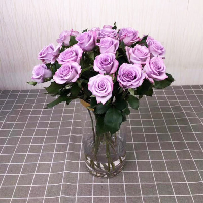 Dinh Dưỡng Giữ Hoa Hồng cắm bình Lâu Tàn - Food For Cut Flowers (Set 50 gói loại 5gr) giúp hoa luôn tươi mớ, cứng cáp gấp 2 lần và trong 14 ngày không thối nước hay cắt tỉa gốc hoa, nhập khẩu Israel