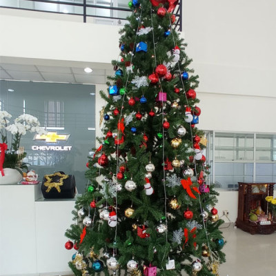 Cây thông noel màu xanh 1m2 - Tán dày và đẹp, cây thông chắc chắn và dể tháo lắp