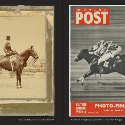 Why We Photograph Animals  