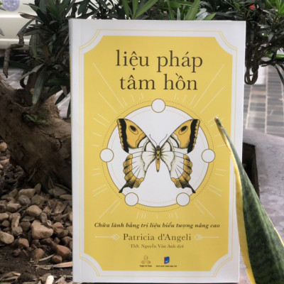 Liệu Pháp Tâm Hồn - Chữa Lành Bằng Trị Liệu Biểu Tượng Nâng Cao