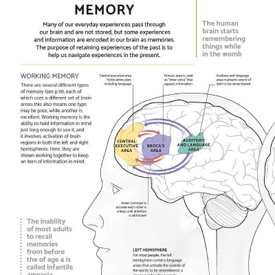 The Brain Fitness Book: Activities And Puzzles To Keep Your Mind Active And Healthy