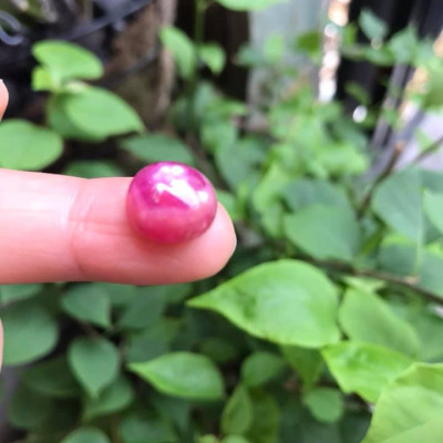 VIÊN ĐÁ RUBBY HỒNG TRÒN ĐẸP NHƯ BÔNG HOA PHÍA TRÊN VIÊN ĐÁ TRÒN DẦY ĐẸP LẮM LUÔN LÀM MẶT NHẪN DÂY CHUYỀN Size DÀI 12mm X NGANG 11mm x DẦY 7mm