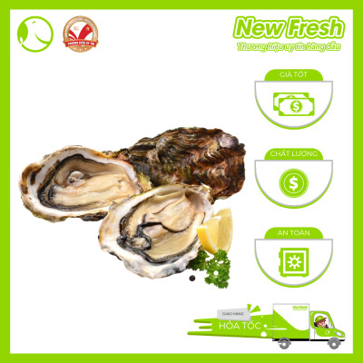 [GIAO NHANH HCM] Hàu Nhật - Túi 1Kg (9-11 con)