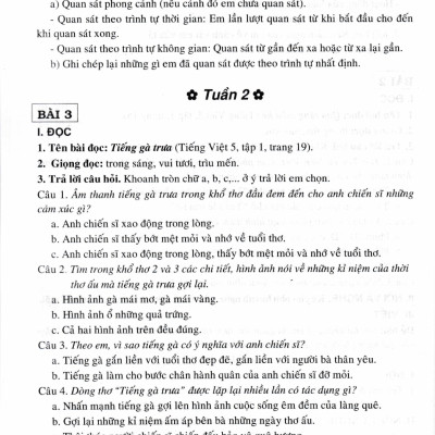 Bồi Dưỡng Tiếng Việt Lớp 5 (Dùng Cho Bộ Sách Chân Trời Sáng Tạo) - HA