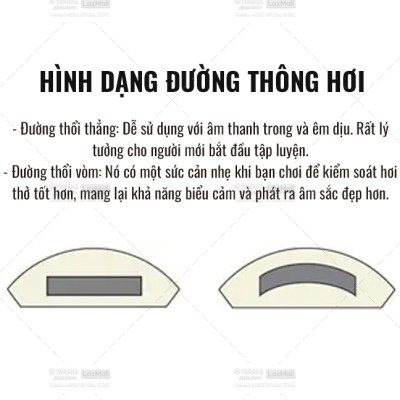 Sáo dọc Recorder Soprano Rainbow YAMAHA YRS-20BG kèm túi đựng - Tiêu chuẩn giáo dục quốc tế