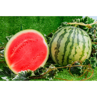 [Chỉ Giao HCM] - Dưa hấu ruột đỏ không hạt (3 - 5 kg/trái)