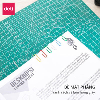 Ghim Vòng Màu #3 Deli, 29Mm - 100 Cái/Hộp, 2 Hộp E0024