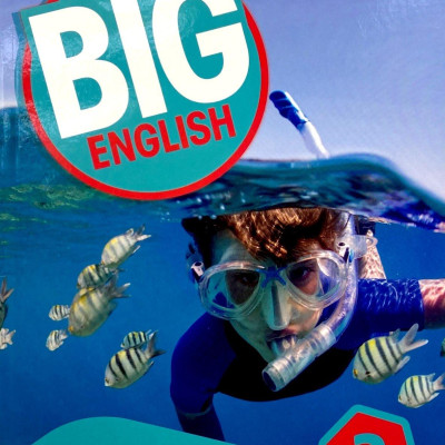 Big English AmE 2Ed Level 2 Value Pack (SB + WB)