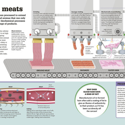 How Food Works: The Facts Visually Explained (How Things Work)