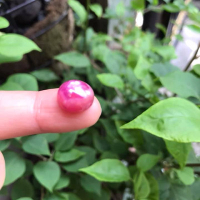 VIÊN ĐÁ RUBBY HỒNG TRÒN ĐẸP NHƯ BÔNG HOA PHÍA TRÊN VIÊN ĐÁ TRÒN DẦY ĐẸP LẮM LUÔN LÀM MẶT NHẪN DÂY CHUYỀN Size DÀI 12mm X NGANG 11mm x DẦY 7mm