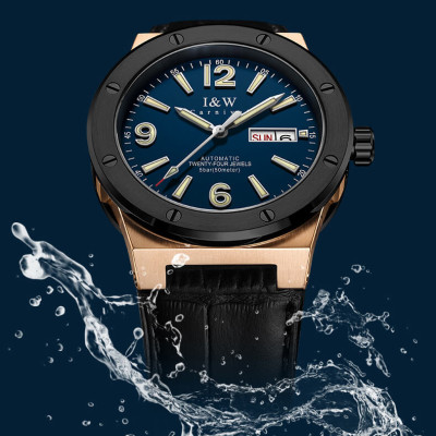 Đồng hồ nam chính hãng IW CARNIVAL IW589G-2 Kính sapphire ,chống xước,Chống nước ,Bảo hành 24 tháng,Máy cơ (Automatic),Dây da cao cấp,thiết kế lộ cơ thể thao