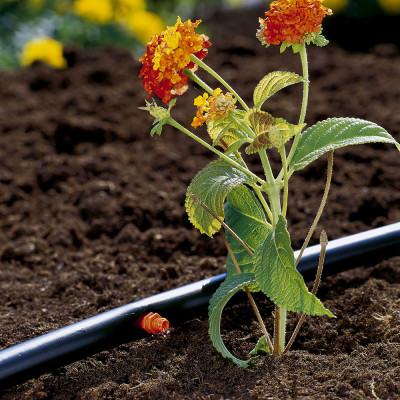 Bộ 25 đầu tưới nhỏ giọt 2 lít/h Gardena