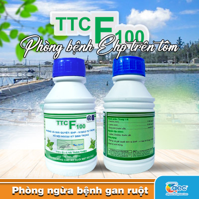 TTC F100 – Giải pháp kiểm soát EHP cho tôm nuôi thâm canh và siêu thâm canh