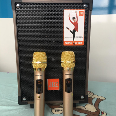 Bộ 2 micro không dây ZANSONG S28 sóng UHF Wireless dành cho Amly , loa kéo loa karaoke - Hỗ trợ các thiết bị có jack cắm 3.5mm và 6.5mm - Hàng Nhập khẩu