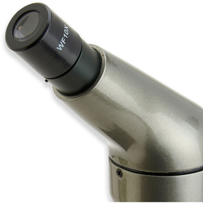 Kính hiển vi soi tinh trùng Carson MS-040 (40-800x) - Hàng chính hãng