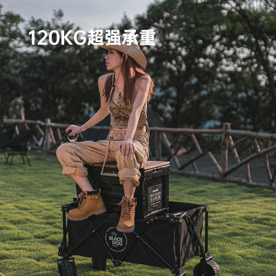 Xe kéo gấp gọn 4 chiều tháo rời bánh Blackdog BD-TC002