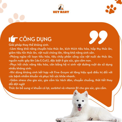 MEN TIÊU HÓA SỐNG CAO CẤP, NGỪA TIÊU CHẢY VÀ E.COLI - Five-Enzym Uống 1 lít