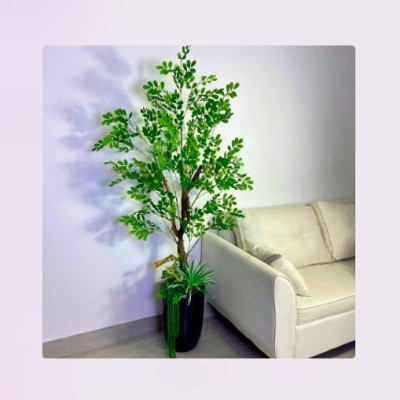 Cây thần diệu giả 170cm không chậu trang trí, decor nhà cửa, quán cafe
