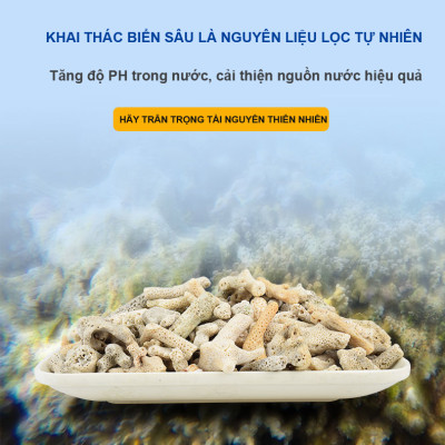 San Hô Vụn túi 1KG  + 1 túi lưới đựng vật liệu lọc cho bể cá