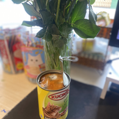 (MỚI) PATE DÀNH CHO MÈO KUCINTA LON 400G (GIÁ TỐT)